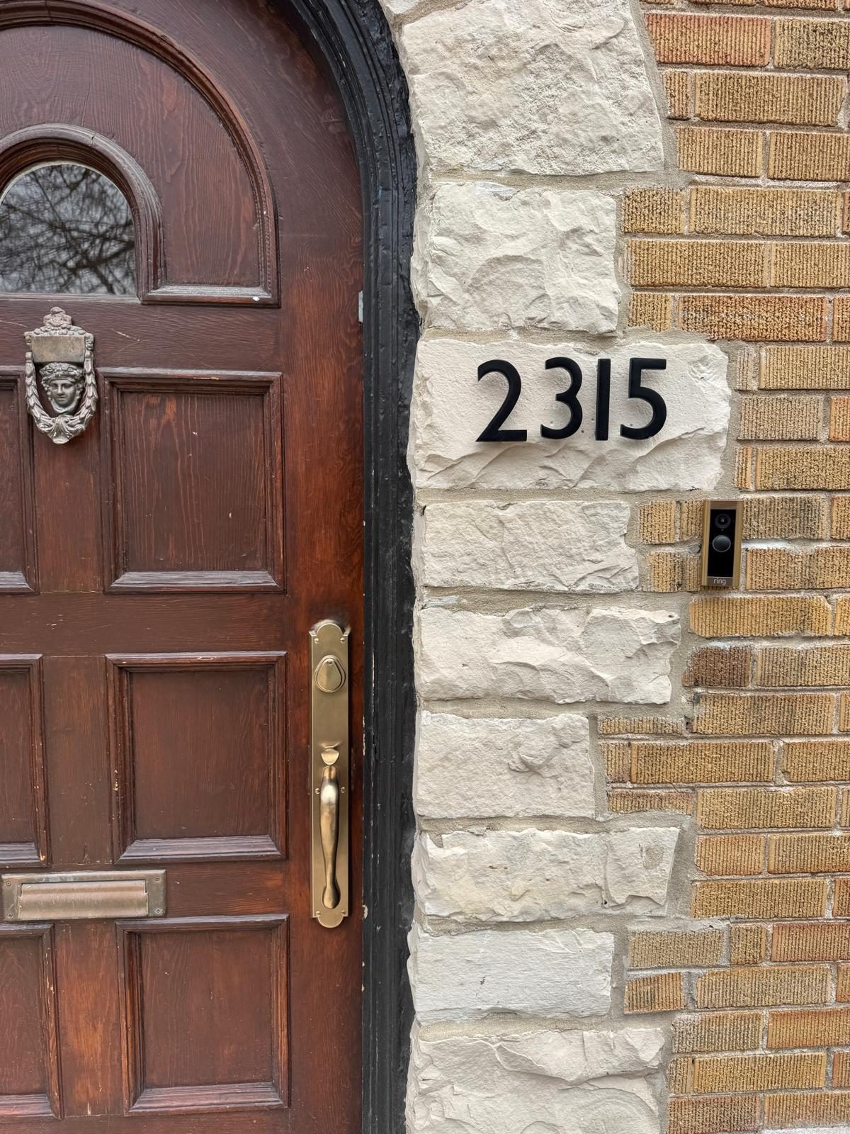 Brass Entry Handle